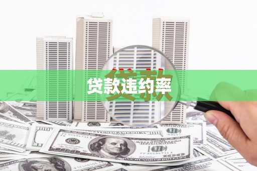 遂昌贷款违约率