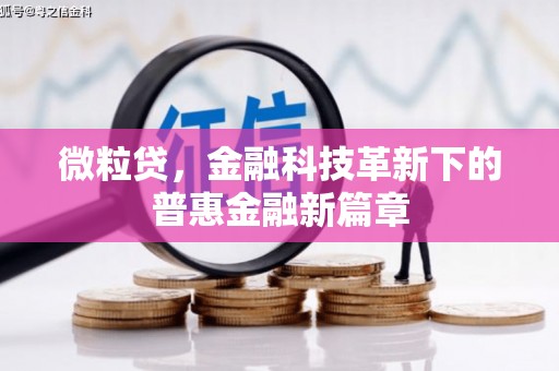 遂昌微粒贷，金融科技革新下的普惠金融新篇章