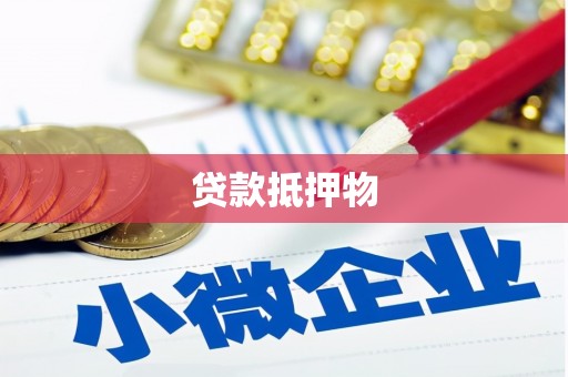 遂昌贷款抵押物