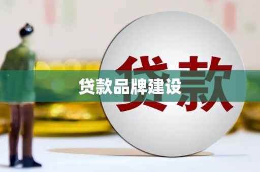 遂昌贷款品牌建设