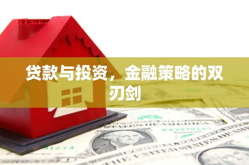 遂昌贷款与投资，金融策略的双刃剑