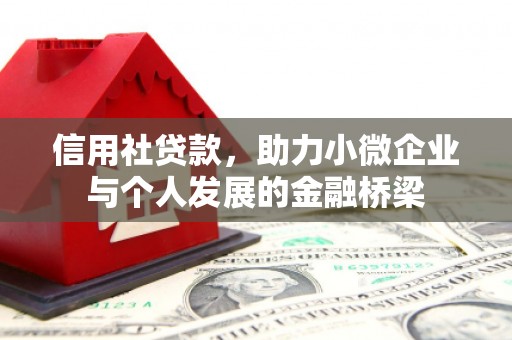 遂昌信用社贷款，助力小微企业与个人发展的金融桥梁
