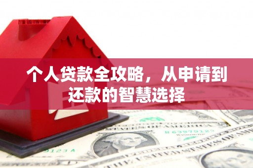 遂昌个人贷款全攻略，从申请到还款的智慧选择