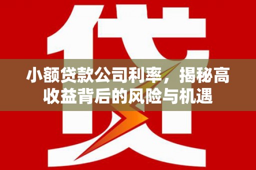 遂昌小额贷款公司利率，揭秘高收益背后的风险与机遇