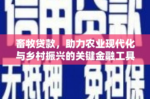 遂昌畜牧贷款，助力农业现代化与乡村振兴的关键金融工具