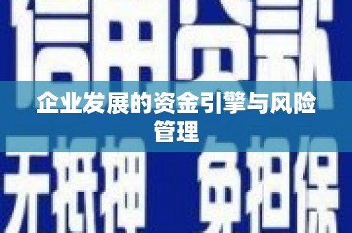 遂昌企业发展的资金引擎与风险管理