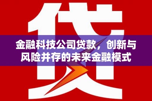 遂昌金融科技公司贷款，创新与风险并存的未来金融模式