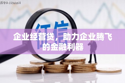 遂昌企业经营贷，助力企业腾飞的金融利器