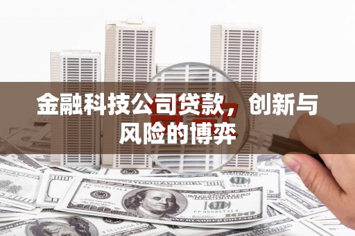 遂昌金融科技公司贷款，创新与风险的博弈