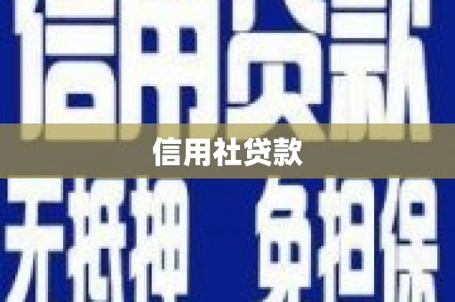 遂昌信用社贷款