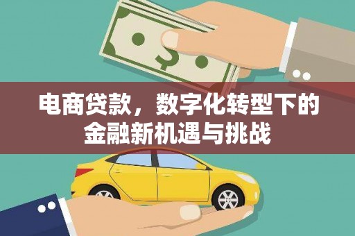 遂昌电商贷款，数字化转型下的金融新机遇与挑战