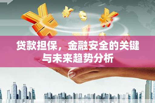 遂昌贷款担保，金融安全的关键与未来趋势分析