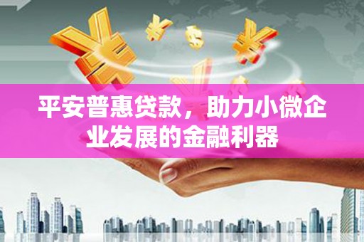 遂昌平安普惠贷款，助力小微企业发展的金融利器