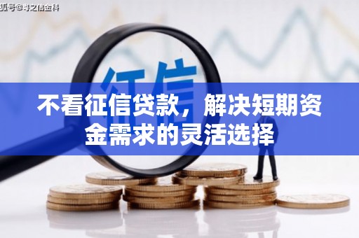 遂昌不看征信贷款，解决短期资金需求的灵活选择