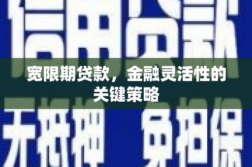 遂昌宽限期贷款，金融灵活性的关键策略