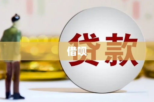 遂昌借呗