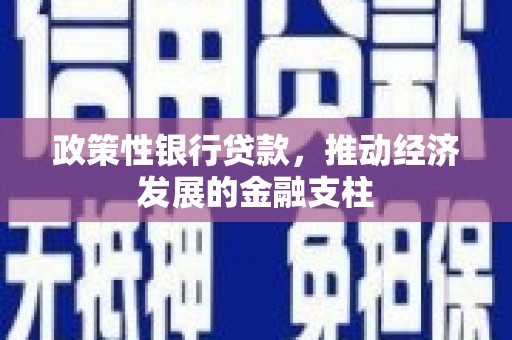 遂昌政策性银行贷款，推动经济发展的金融支柱