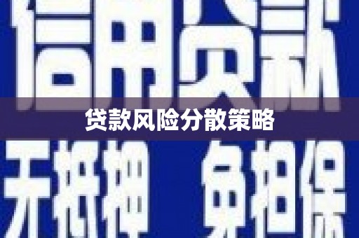 遂昌贷款风险分散策略
