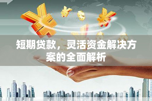 遂昌短期贷款，灵活资金解决方案的全面解析