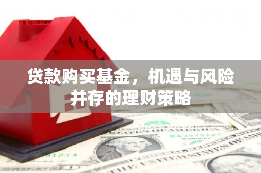 遂昌贷款购买基金，机遇与风险并存的理财策略