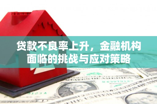 遂昌贷款不良率上升，金融机构面临的挑战与应对策略