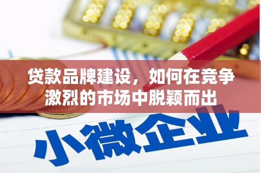 遂昌贷款品牌建设，如何在竞争激烈的市场中脱颖而出