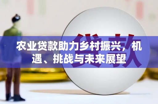 遂昌农业贷款助力乡村振兴，机遇、挑战与未来展望