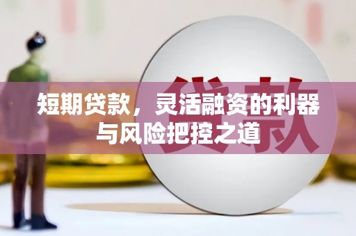 遂昌短期贷款，灵活融资的利器与风险把控之道