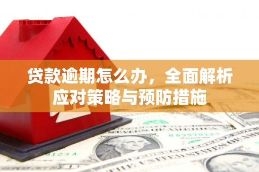 遂昌贷款逾期怎么办，全面解析应对策略与预防措施