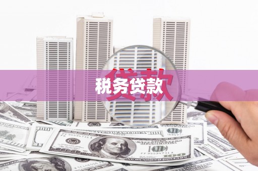 遂昌税务贷款