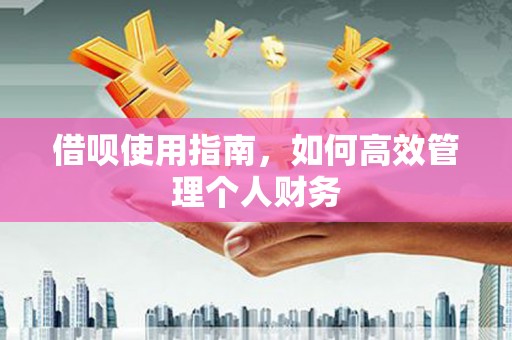 遂昌借呗使用指南，如何高效管理个人财务