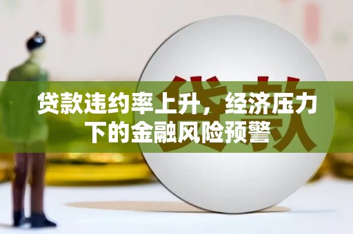 遂昌贷款违约率上升，经济压力下的金融风险预警