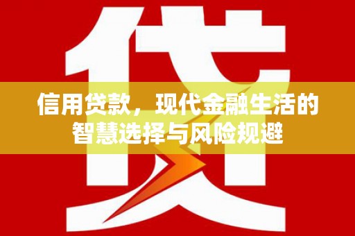 遂昌信用贷款，现代金融生活的智慧选择与风险规避