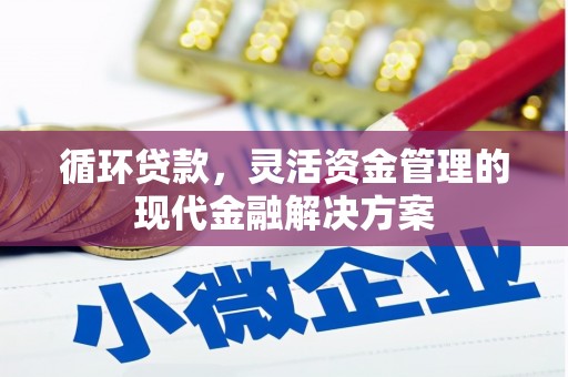 遂昌循环贷款，灵活资金管理的现代金融解决方案