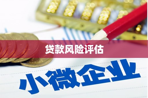遂昌贷款风险评估