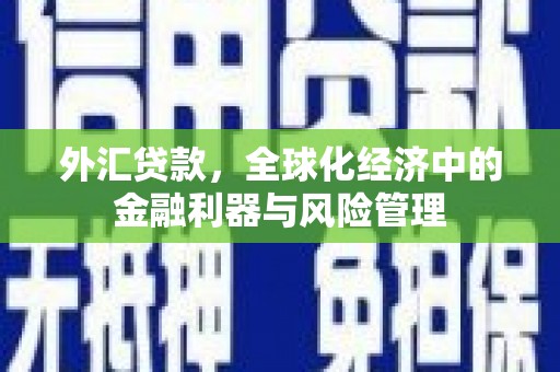 遂昌外汇贷款，全球化经济中的金融利器与风险管理