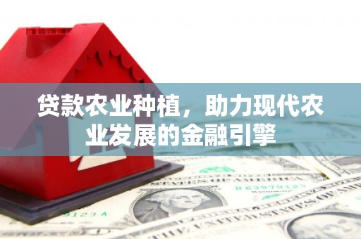 遂昌贷款农业种植，助力现代农业发展的金融引擎