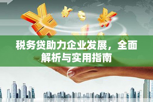 遂昌税务贷助力企业发展，全面解析与实用指南