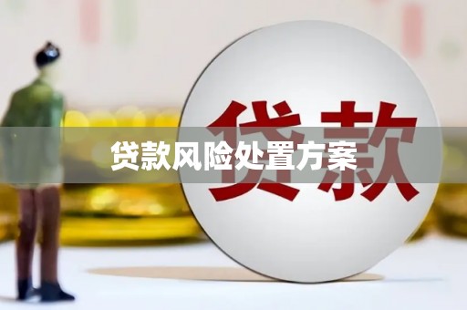 遂昌贷款风险处置方案