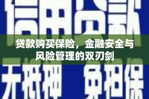 遂昌贷款购买保险，金融安全与风险管理的双刃剑
