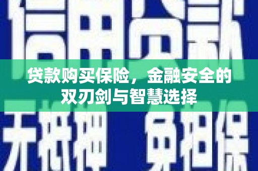 遂昌贷款购买保险，金融安全的双刃剑与智慧选择