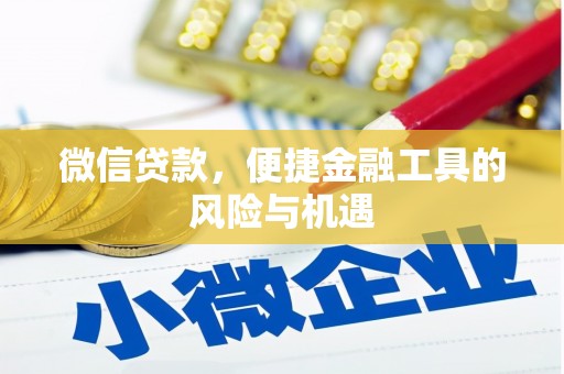 遂昌微信贷款，便捷金融工具的风险与机遇