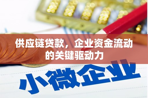 遂昌供应链贷款，企业资金流动的关键驱动力