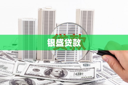 遂昌银盛贷款