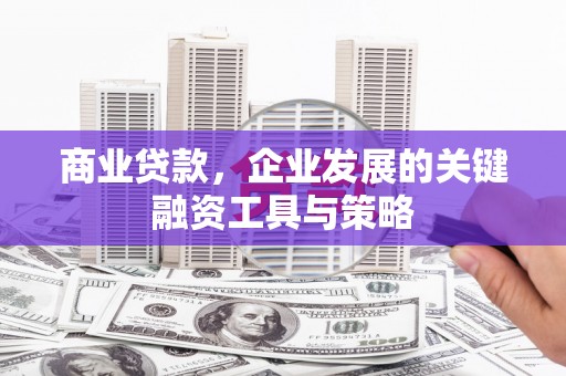 遂昌商业贷款，企业发展的关键融资工具与策略