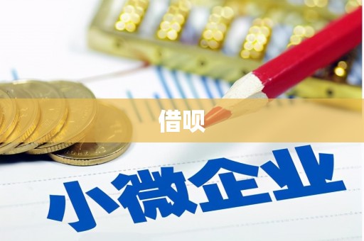 遂昌借呗
