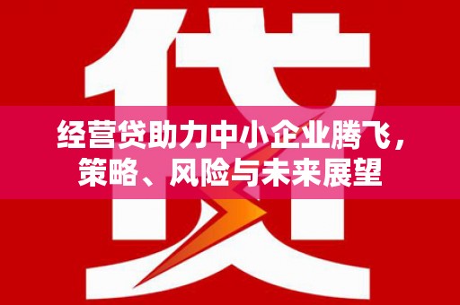 遂昌经营贷助力中小企业腾飞，策略、风险与未来展望