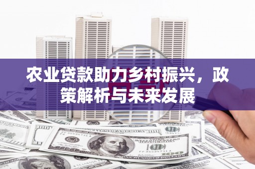 遂昌农业贷款助力乡村振兴，政策解析与未来发展