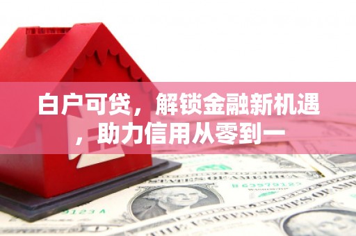 遂昌白户可贷，解锁金融新机遇，助力信用从零到一