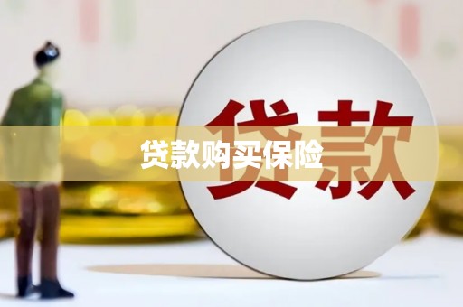 遂昌贷款购买保险